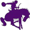 Arcola High School logo